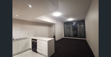 Unfurnished Large size 1 Bed Apartment in Chippendale - Photo 3