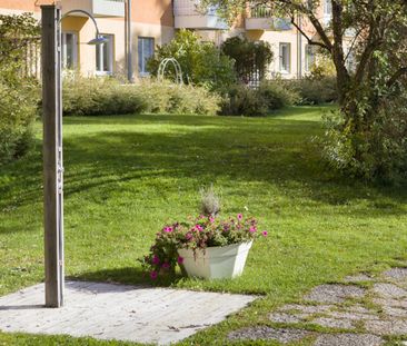 Birkagatan 24 B, 75239, Uppsala - Photo 3