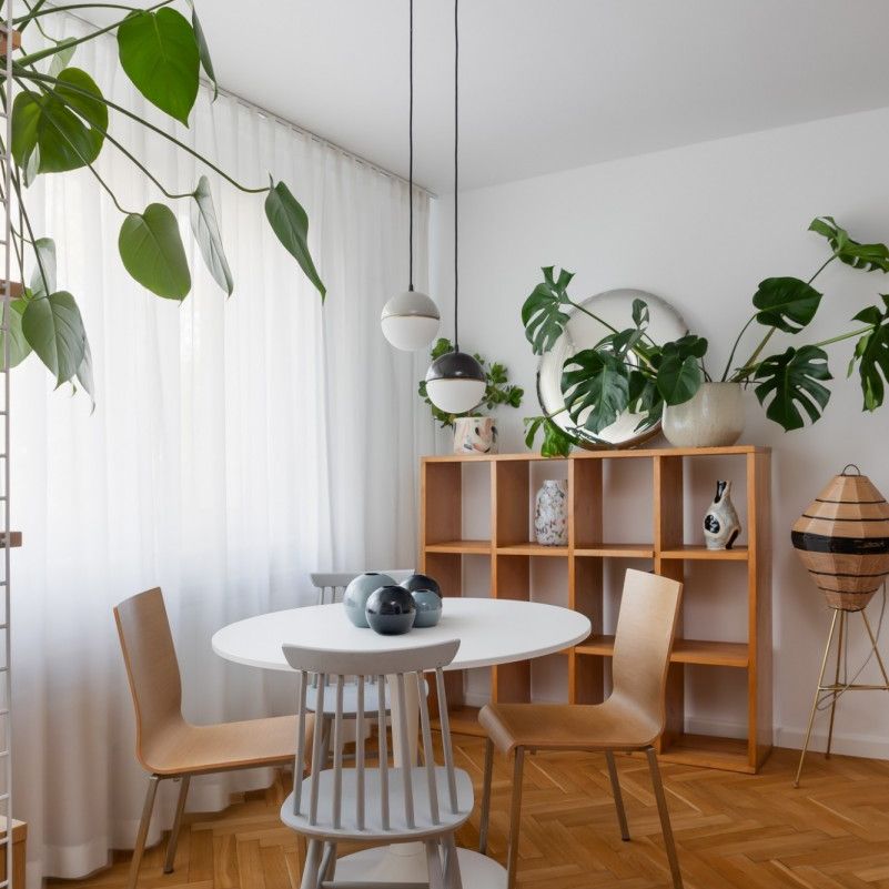 Słoneczne i stylowe - Photo 1