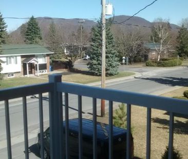 Beloeil grand 4 1/2 avec (2) stationnements déneigés ,entrée laveus... - Photo 2