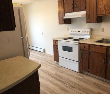 Fantastic bright 2 Bedroom Unit ~ Gas & Water Included - Photo 4