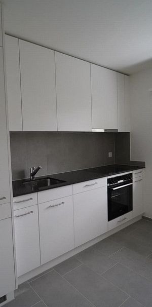 Newly renovated 3-room apartment with modern kitchen + wet room - Photo 1