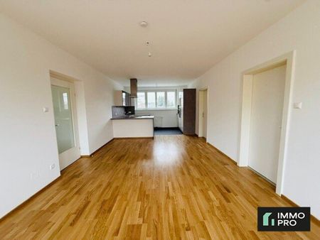 Helle 3-Zimmer Wohnung - Provisionsfrei! - Foto 3