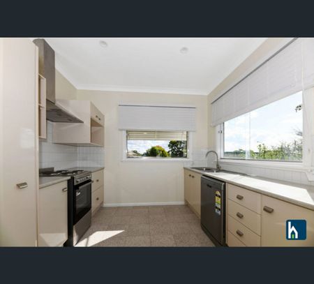 130 Stock Road, Gunnedah, NSW 2380 - Photo 5