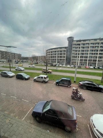 Johan de Wittlaan - Photo 5