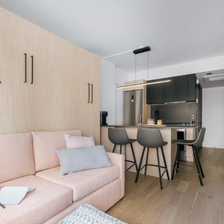 Loft entièrement meublé à louer Saint-Jean-Baptiste juillet 2026 - Photo 3