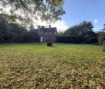 3 bedroom semi-detached house to rent - Photo 5