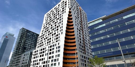 Appartement Montréal (Ville-Marie) À Louer - Photo 3