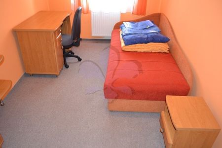 Homy flat for rent close to Uni and Interspar - Fotó 5