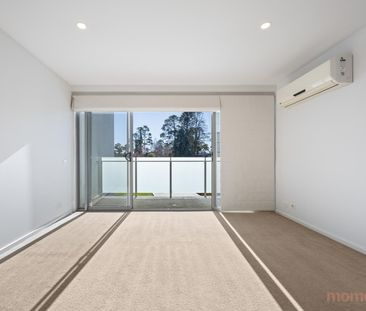 31/41 Hampton Circuit, Yarralumla ACT 2600 - Apartment For Rent | D... - Photo 3
