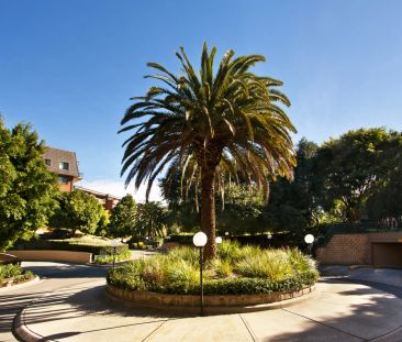 A cosmopolitan sanctuary in Sydney Park Village - Photo 5