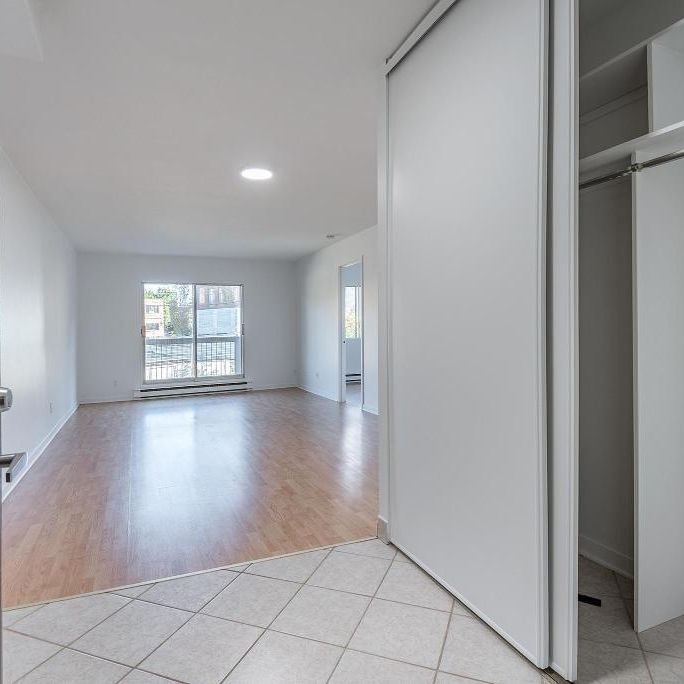 3 1/2 FRAIS PEINT SAINT-LAMBERT (IMMEUBLE BÉTON) - Photo 1