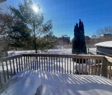 For Lease - 16 Cottontail Road Unit# Bsmt, Brampton, Ontario - Photo 5