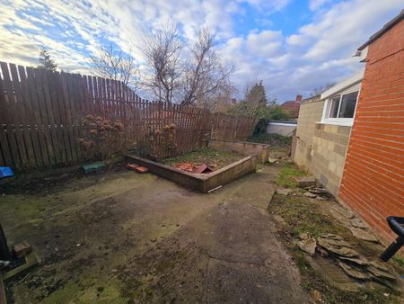 3 bedroom semi-detached house to rent - Photo 2