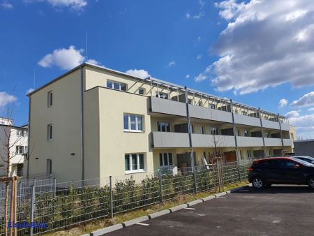 ERSTBEZUG-GENOSSENSCHAFTSWOHNUNG in Strasshof - Top 21 - Foto 2