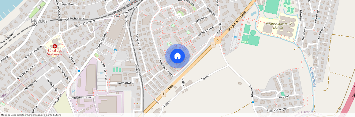 Engelhardstrasse 95, 3280 Murten