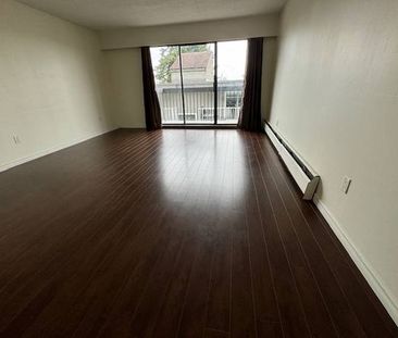 Large 1 Bedroom 1 Bath Apartment in Coquitlam - Photo 1