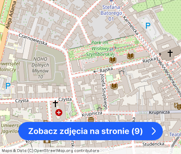 Kraków, Stare Miasto, Rajska, mieszkanie, do wynajęcia, 1 pokój – zdjęcie 1