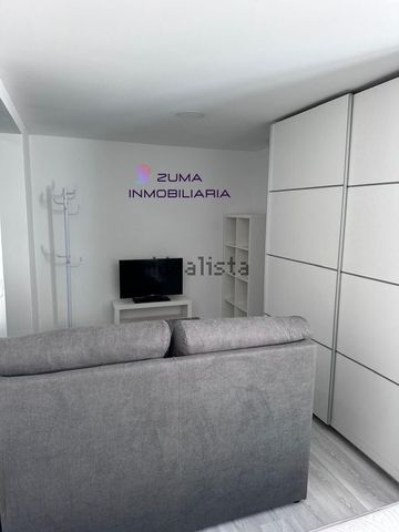 Alquiler de estudio en Los Almendros - El Limonero - El Tomillar - Photo 3