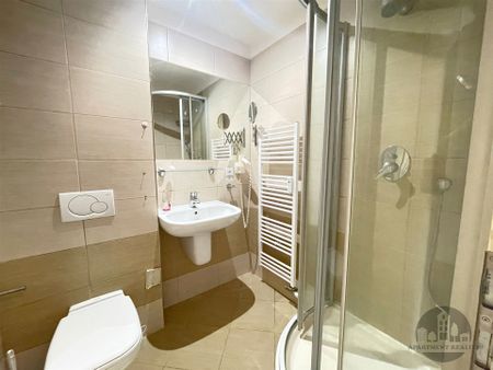 Apartment for rent, 1+KK - Studio, 16m - Fotografie 2