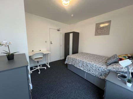 1 bedroom house share to rent - Photo 2