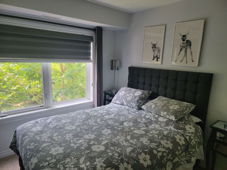 For Lease - 10 Brandy Lane Drive Unit# 208, Collingwood, Ontario - Photo 3