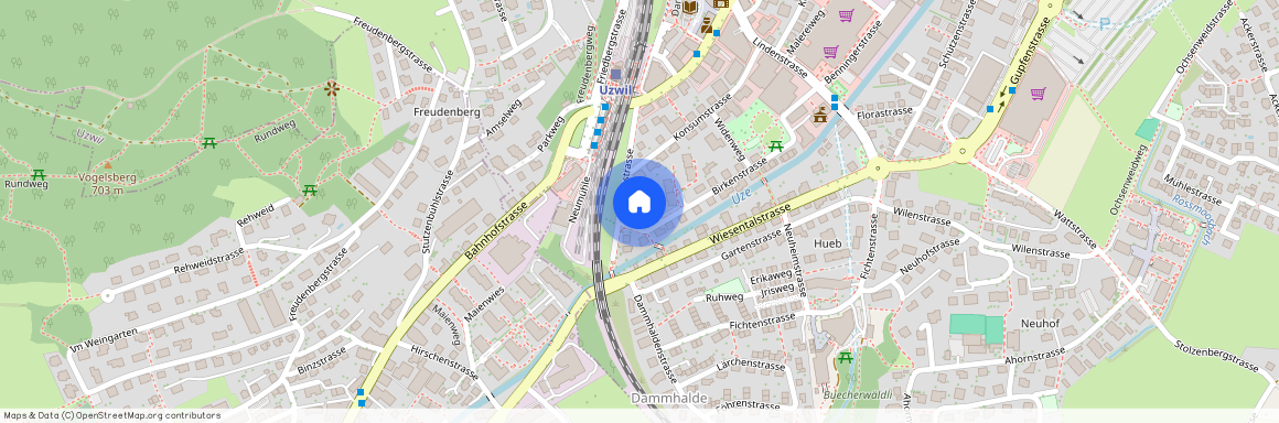 Birkenstrasse, 1, 9240, Uzwil