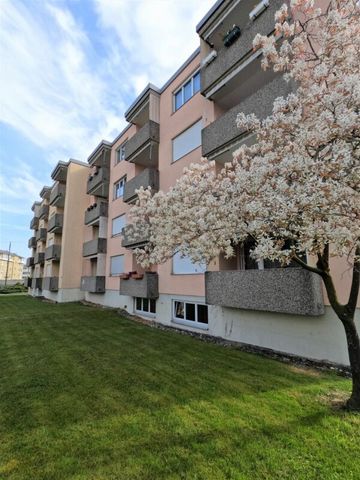 Wunderbare 3.5 Familienwohnung mit Spielplatz. Moderne Küche und Aussicht ins Grüne. - Photo 5