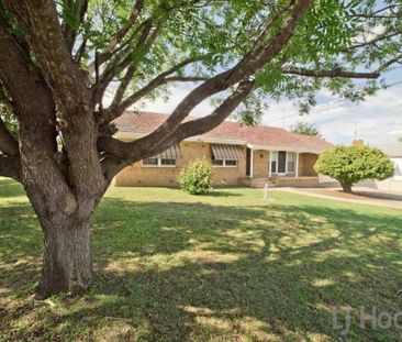 BRICK VENEER SPACIOUS HOME CLOSE TO CBD - Photo 5