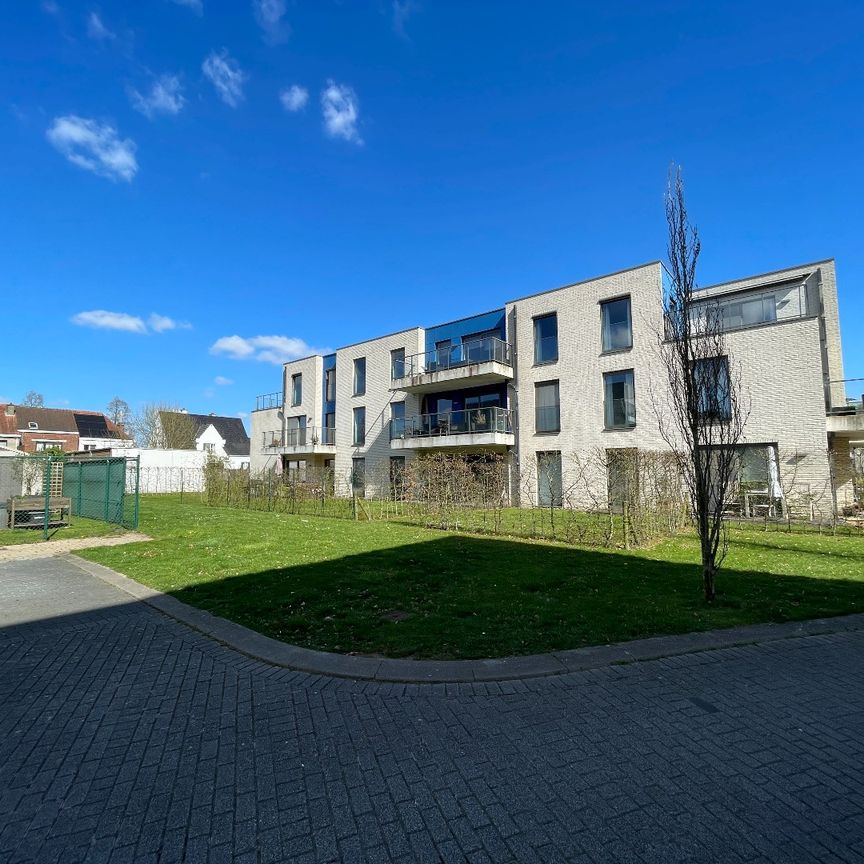 Appartement te huur in Deinze - Foto 1