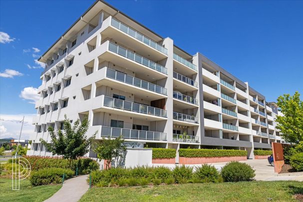 Modern one bedroom in Molonglo Valley - Photo 1