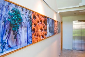 For long-term rent: apartment in Javea, Golden Garden urbanization, with 2 bedrooms and a pool.