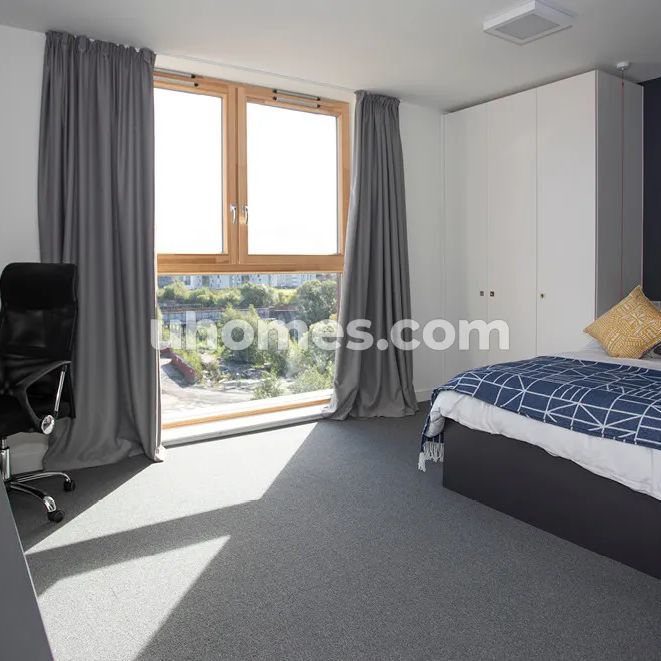 Premium Accessible Studio - Photo 1