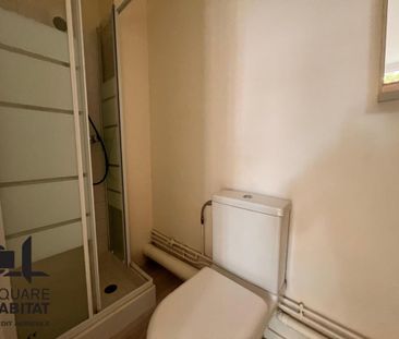 Location Appartement 1 pièce 14m² TOURS 37000 - Photo 1