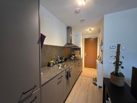 Te huur: Appartement Lyceumlaan in Roosendaal - Photo 1