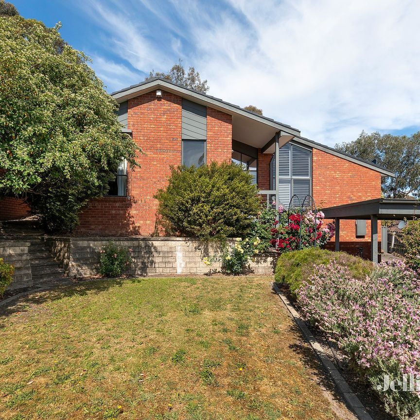 10 Nevern Court, Diamond Creek - Photo 1