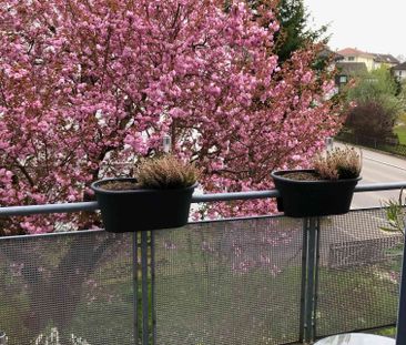 3.5 Zimmer, 70 m², 1. Stock - Foto 4