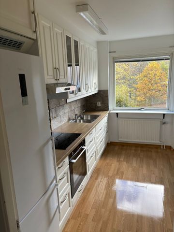 Norra Sjöbogatan, Borås - Photo 4