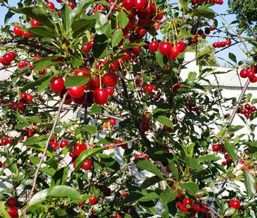 GREAT 4 BED, 2 BATH, 4 LEVEL SPLIT SINGLE FAMILY HOME W/ A DOUBLE A... - Photo 5