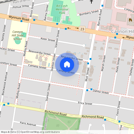 62 Camelia Street, Qld 4170, Cannon Hill