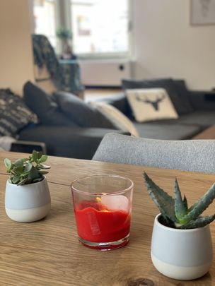 3-ROOM APARTMENT IN FLIMS DORF (GR), FURNISHED, TEMPORARY - Photo 1