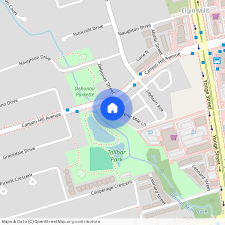 10 Honey Milk Lane, Richmond Hill