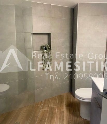 Μονοκατοικία για ενοικίαση Όριο Άγιας Βαρβάρας (Κορυδαλλός) - Φωτογραφία 2