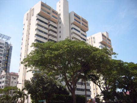 Equatorial Apartments (D15), Apartment - For Rent - Photo 3