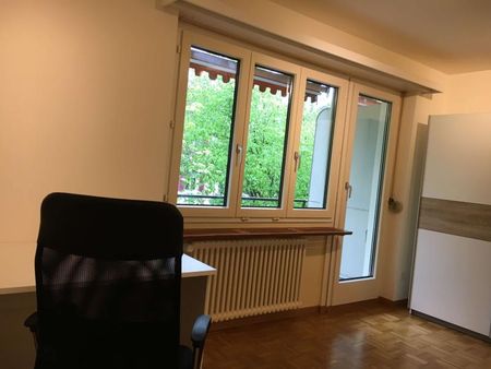 Simon #3 - Experience 60's Charm in Zürich's Green Oasis - Foto 5