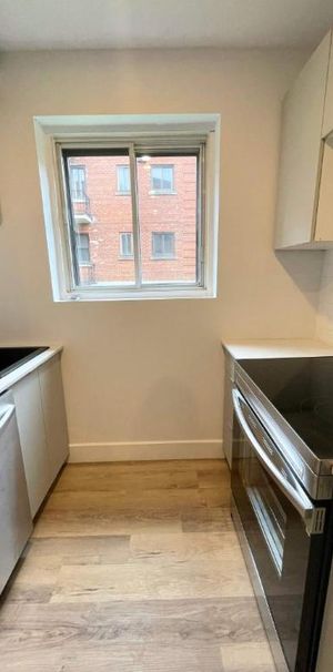 1 CH - 1 SDB - Montréal - $1,545 /mo - Photo 1