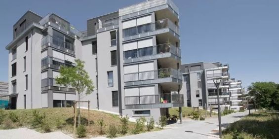 Bel appartement de 3,5 pièces dans bâtiment Minergie (2016) - Photo 3