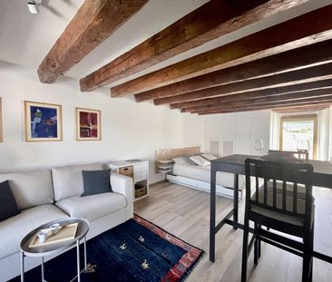 Studio meublé à louer ? Nyon, Rue de Rive 53 vue lac au 4e étage di... - Photo 5