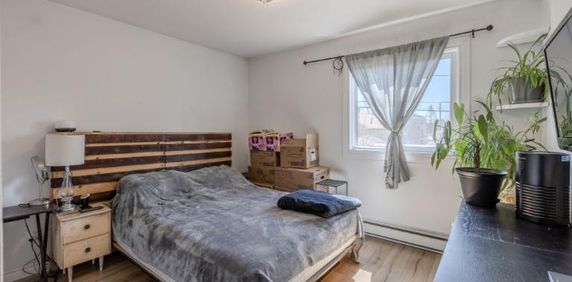 Appartement 4 ½ à louer Lévis juillet 2026 - Photo 2