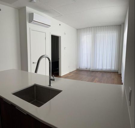 385 Rue St-Martin, app.407, H3J 1W1, Montréal - Photo 4